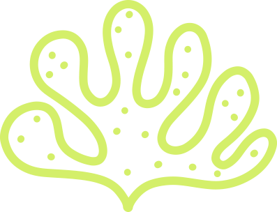 Half Moon Dentistry for Children